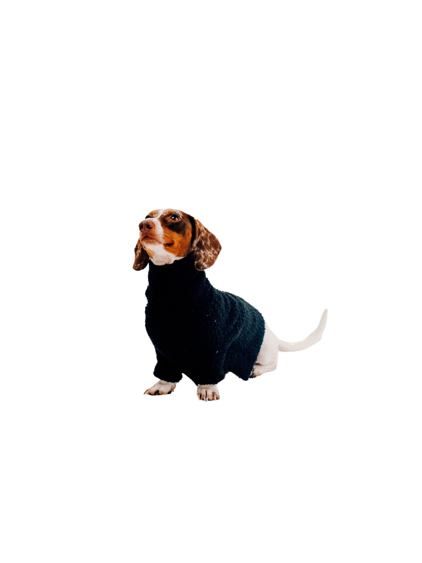Black Bouclé Sweater