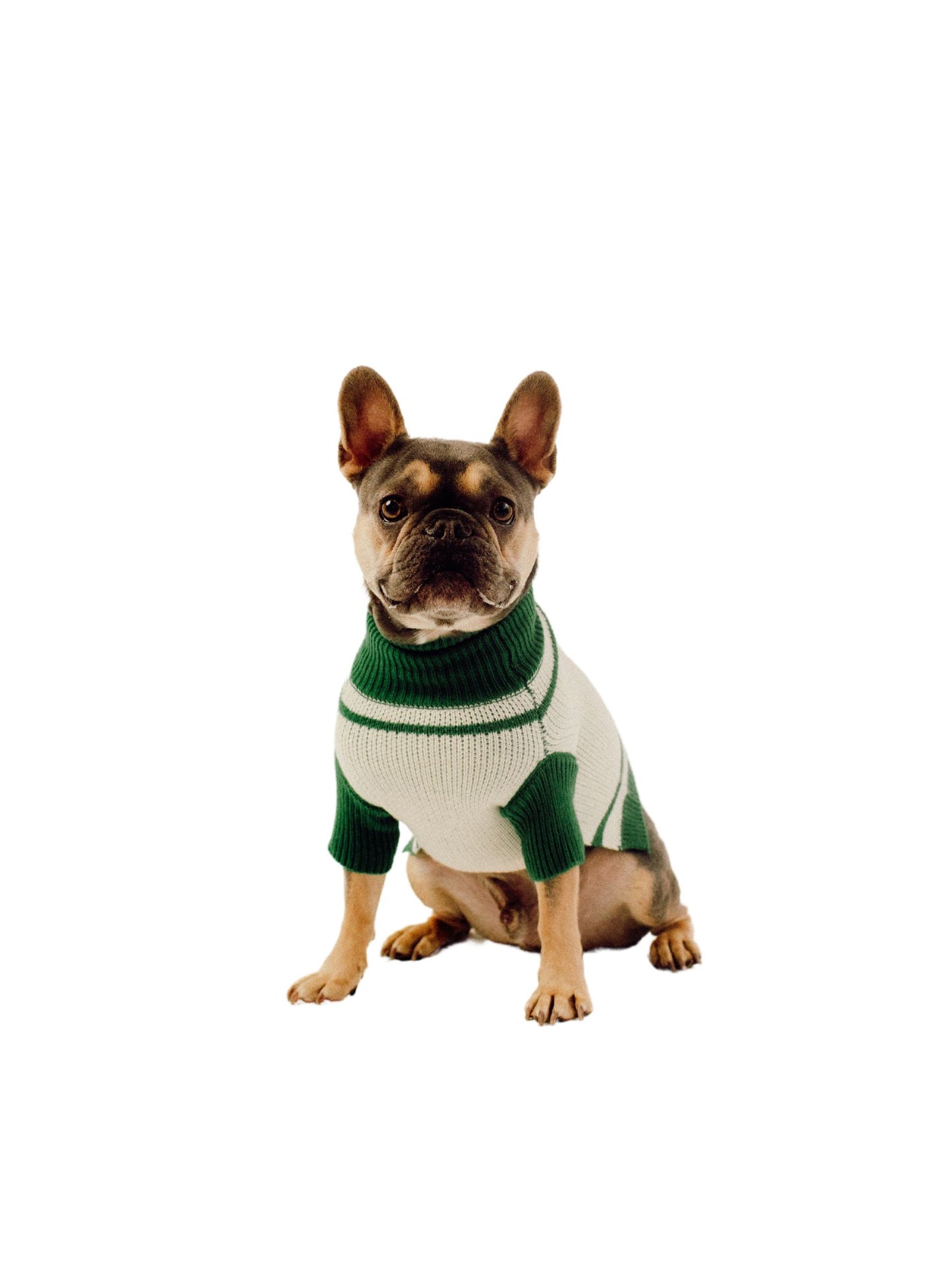 Varsity Sweater