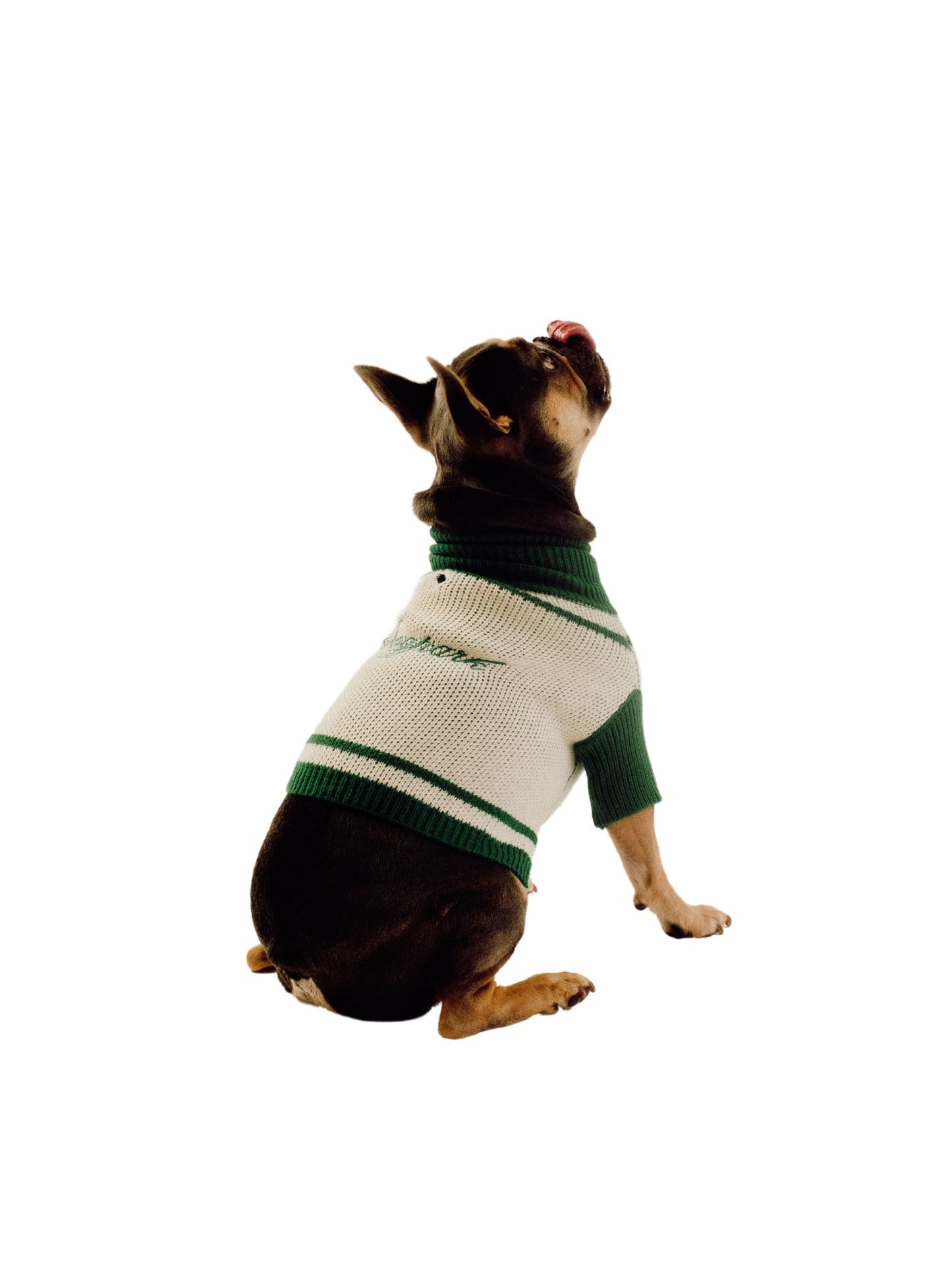 Varsity Sweater
