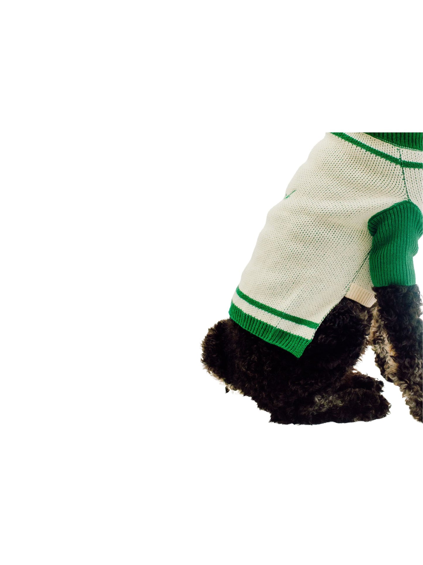 Varsity Sweater