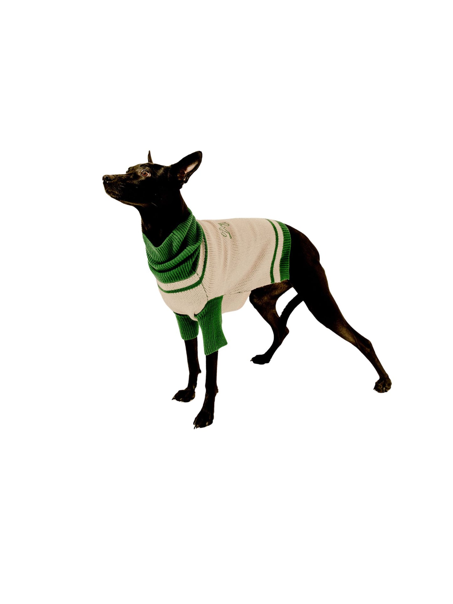 Varsity Sweater