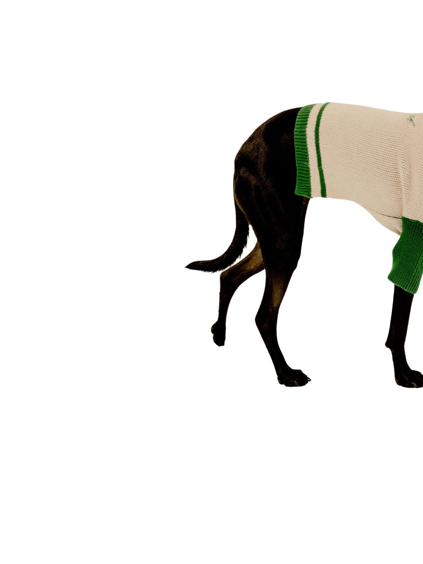 Varsity Sweater